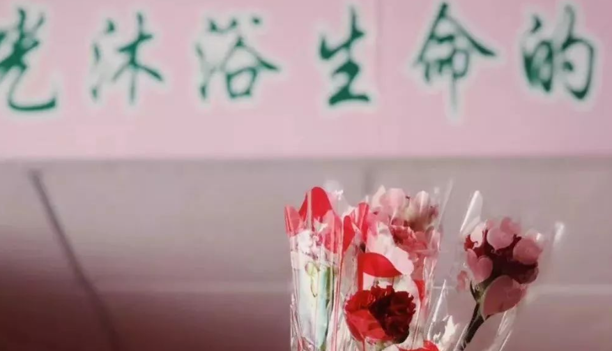 8-用温柔的方式让生命更有尊严地“谢幕”.png