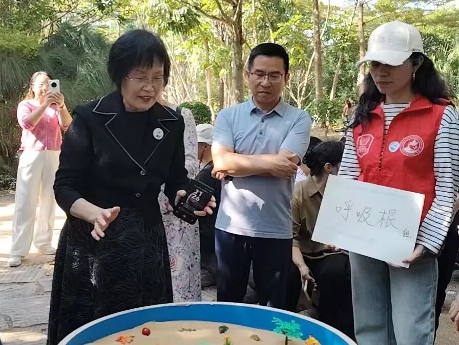 1767002223775056954.jpg 8.jpg